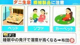 梅雨~夏にかけて急激に繁殖する「ダニ」 刺されたりアレルギーの原因に 駆除のポイント・対策を解説|TBS NEWS DIG