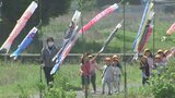 臼杵市の川沿いで555匹のこいのぼりが優雅に泳ぐ 大分 | 大分のニュース|OBS NEWS|大分放送