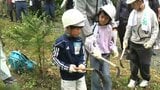 国の天然記念物「鯉が窪湿原」で保全活動 300種類以上の貴重な植物が自生 約600本の少花粉スギの下草刈りを【岡山】|TBS NEWS DIG