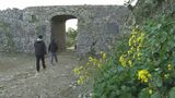 世界遺産の城壁に映える黄色い花 中城城跡でツワブキが満開を迎える|TBS NEWS DIG
