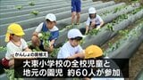地元特産「かんしょ」への理解を深めて　串間市で子どもたちが植え付け体験　|　MRTニュース ｜ ＭＲＴ宮崎放送