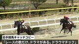ドラウマチックなレースを! 岩手競馬2024シーズン開幕 水沢競馬場向こう正面のサクラはツボミ 岩手・奥州市|TBS NEWS DIG