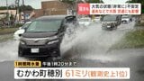 【北海道で大雨】むかわ町穂別で観測史上最大の1時間61ミリ　道央を中心に大雨　苫小牧の道路冠水やJR51本運休など各地で被害|TBS NEWS DIG