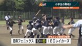 63チームの頂点はIBCレイカーズ 熊日旗学童軟式野球の決勝戦 熊本|TBS NEWS DIG