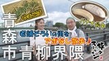 老舗で食い倒れ!明治26年創業店の「バナナ最中」や昭和36年創業店の「焼きそば」を味わう 青森市青柳界隈でアポなし散歩【わっち!!旅々スミマセン】9月1日放送回見逃し配信|TBS NEWS DIG