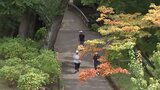 本格的な秋の訪れ近づく岩手・盛岡市 木々が赤く色づき始める 9日は台風接近に伴う大雨に注意必要|TBS NEWS DIG