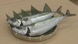 アニサキスのリスク低減 刺身で食べられるサバ『福の鯖』出荷式 福島・浪江町 | 福島のニュース│TUF
