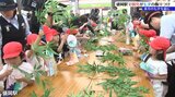 「ドッジボールが強くなりたい」園児たちがJR盛岡駅に願い事を書いた短冊を飾り付け|TBS NEWS DIG