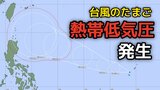 【台風情報】台風のたまご「熱帯低気圧」発生...今後台風へ発達する見込み...日本への影響、今後の進路は?29日(月)までの雨風シミュレーション&全国各都市の週間予報で確認...今後の気象情報に注意【気象庁天気図19日】|TBS NEWS DIG