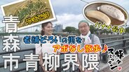 老舗で食い倒れ!明治26年創業店の「バナナ最中」や昭和36年創業店の「焼きそば」を味わう 青森市青柳界隈でアポなし散歩【わっち!!旅々スミマセン】9月1日放送回見逃し配信 | 青森のニュース│ATV NEWS│青森テレビ