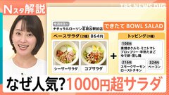 1000円超“高価格帯サラダ”が人気、背景に「ヘルシー志向の高まり」と「サラダの主食化」【Nスタ解説】| TBS CROSS DIG with Bloomberg