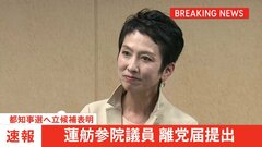 【速報】蓮舫参院議員が立憲に離党届提出 都知事選告示前に| TBS CROSS DIG with Bloomberg