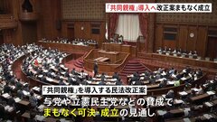 離婚後の「共同親権」導入の民法改正案、きょう成立へ| TBS CROSS DIG with Bloomberg