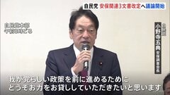 自民党　安全保障関連3文書改定へ議論開始　「非核三原則」見直し・防衛費増額の新目標など焦点| TBS CROSS DIG with Bloomberg