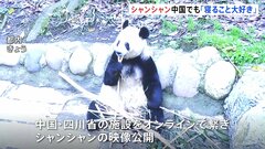 中国にいるシャンシャンとオンライン交流会　上野動物園の園長も参加| TBS CROSS DIG with Bloomberg