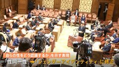 LGBT法案　衆院内閣委で可決　自民が維新修正案を“丸のみ”　「性同一性」→「ジェンダーアイデンティティ」に| TBS CROSS DIG with Bloomberg