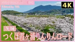 【4K】つくば霞ヶ浦りんりんロード【JNN sakuraドローンDIG 2024】|TBS NEWS DIG