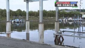 母親が水中に沈む7歳男児を発見し救助　搬送時意識不明　静岡・浜名湖の漁港|TBS NEWS DIG