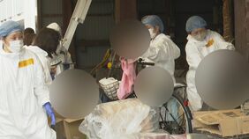 【速報】ネコの頭蓋骨132匹分を確認 排泄物や死骸を放置した環境で飼育 多くを衰弱死させた疑いで女を逮捕 「飼育費用や手間が増え面倒になった」|TBS NEWS DIG