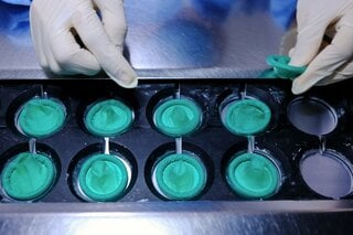 世界最大のコンドームメーカー受難、イラン戦争の影響で値上げ必至| TBS CROSS DIG with Bloomberg