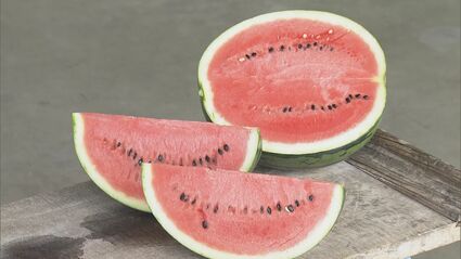 img_120696cae071743f9940db78f9