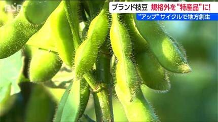 何だこの甘みは！」“日本一の枝豆県”の『幻の枝豆』に惚れ込んだ仕掛け