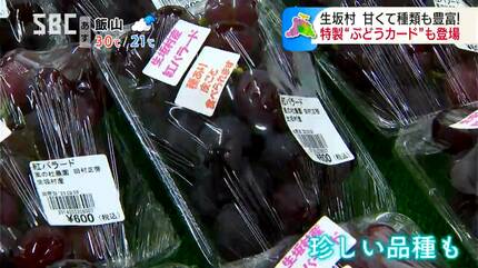 今年完成「ぶどうカード」も人気 タイミングが合えば22種類が並ぶ