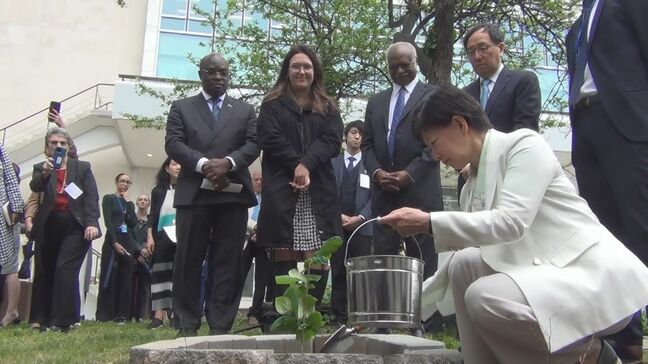 原爆投下80年　ニューヨークの国連本部で被爆樹木の苗木の植樹式|TBS NEWS DIG