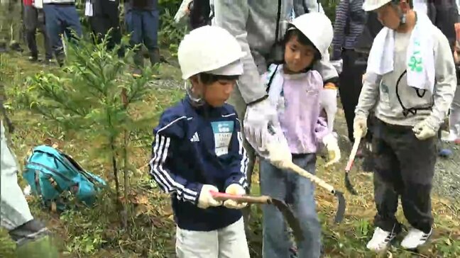 国の天然記念物「鯉が窪湿原」で保全活動　300種類以上の貴重な植物が自生　約600本の少花粉スギの下草刈りを【岡山】|TBS NEWS DIG