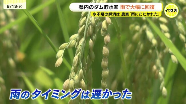 渇水間近だったダムは3連休の雨で貯水率全回復に 農家は複雑な思い「梅雨の時期に一番降ってほしかった」|TBS NEWS DIG