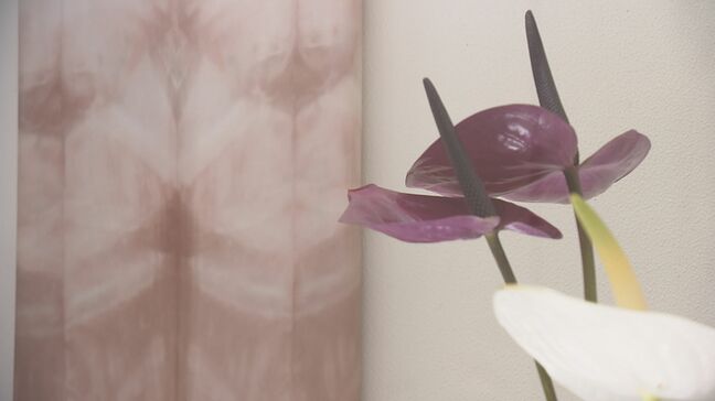 川俣シルクを町特産の花「アンスリウム」で染色…近畿大の学生の作品展　福島・川俣町|TBS NEWS DIG