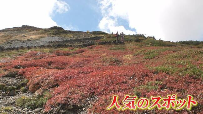 北アルプス 立山室堂平（標高2450m）…秋の絶景に！色鮮やかな紅葉と青空が織りなすコントラスト「写真で見たやつだ！」観光客から感嘆の声|TBS NEWS DIG