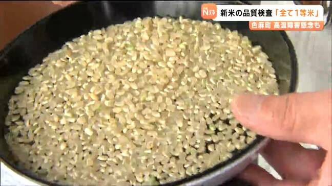 猛暑乗り越え「すべて一等米」に!今季初の新米品質検査 宮城・色麻町|TBS NEWS DIG