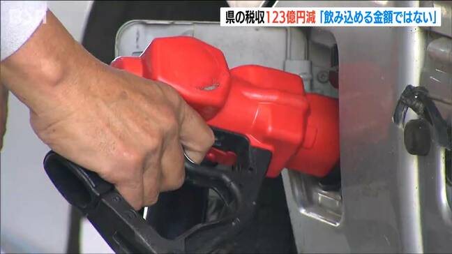 123億円…「ガソリンの暫定税率廃止による減収は飲み込めるものではない」新潟県知事|TBS NEWS DIG
