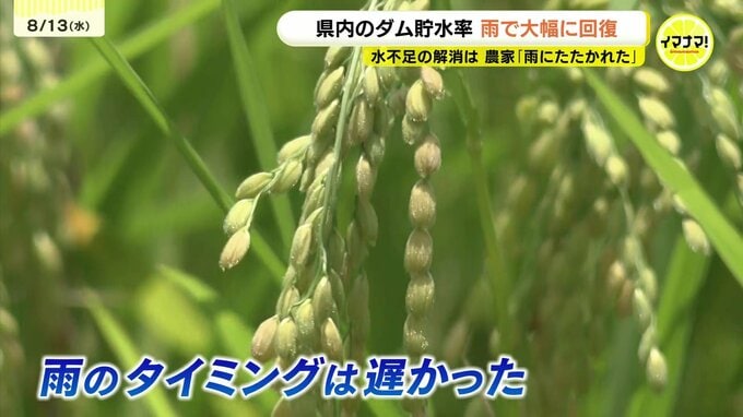 渇水間近だったダムは3連休の雨で貯水率全回復に　農家は複雑な思い「梅雨の時期に一番降ってほしかった」|TBS NEWS DIG