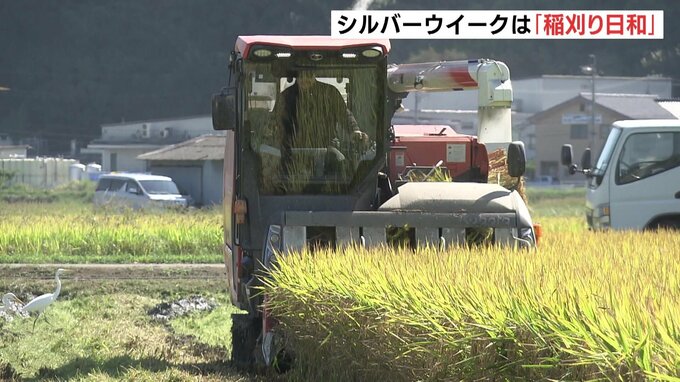 「コメの出来はいいが米価が…」広島県内屈指の大規模農家で稲刈り　生産コストは平均の8割ほども米価下落で「採算割れの見通し」　　|　RCC NEWS | 広島ニュース | RCC中国放送