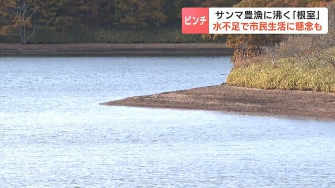 サンマ豊漁に沸く北海道根室市がピンチ！水不足でダムの貯水率54.4％…21年ぶりとなる配水制限のおそれ　漁港の製氷や飲食店に不安広がる|TBS NEWS DIG