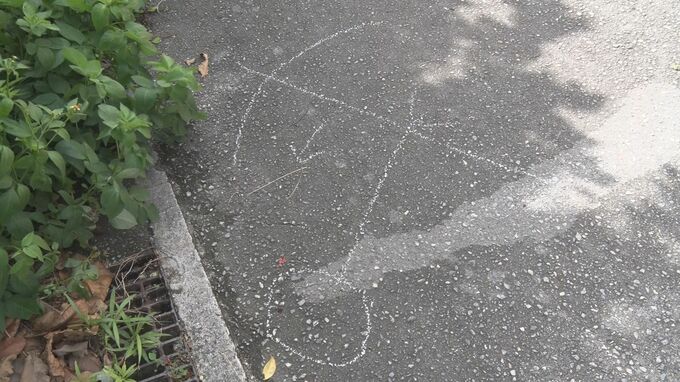 1日の “小学生ひき逃げ事件” で警察が訂正「事故はなかった」　|TBS NEWS DIG