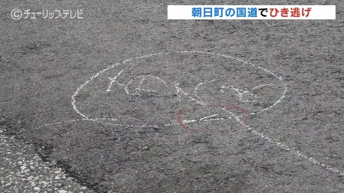 「70代くらいの女性が道路に倒れている」通りかかった車の男性から通報　国道8号でひき逃げ事件　80歳女性をはね犯人は逃走中　富山・朝日町　|　富山のニュース｜天気・防災｜チューリップテレビ
