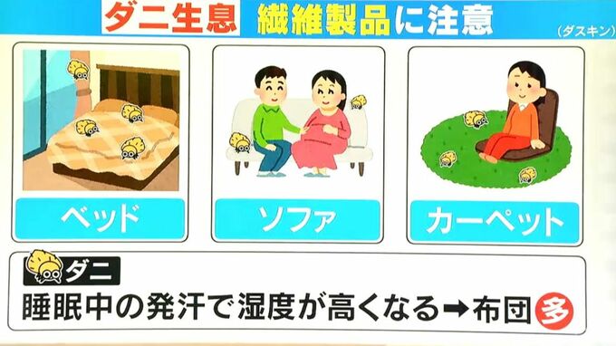 梅雨～夏にかけて急激に繁殖する｢ダニ｣　刺されたりアレルギーの原因に　駆除のポイント・対策を解説　|　名古屋・愛知・岐阜・三重のニュース【CBC news】 | CBC web