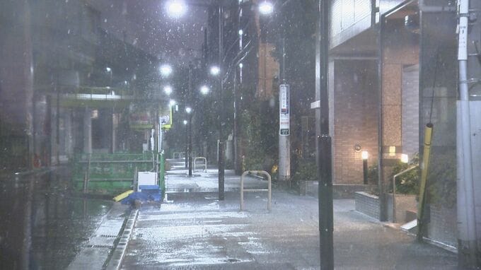 【速報】東京で初雪観測　積雪にはならない見込み　平年より10日遅く|TBS NEWS DIG