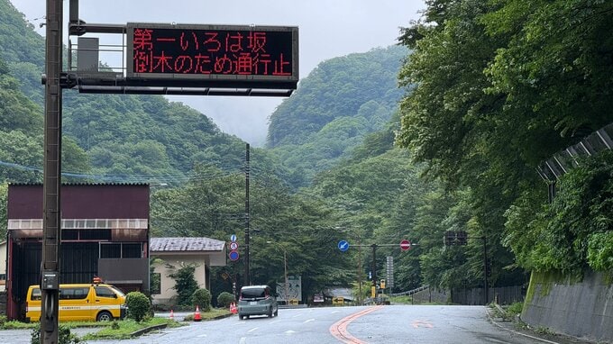 日光市のいろは坂　約15メートルのカエデの木が倒れ車を直撃　けが人なし|TBS NEWS DIG