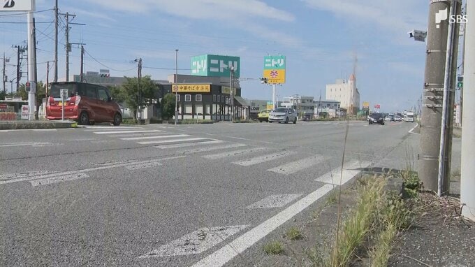 横断歩道を渡っていた男性をはね、重傷負わせて逃走か 軽乗用車運転の35歳男逮捕＝静岡・沼津市|TBS NEWS DIG