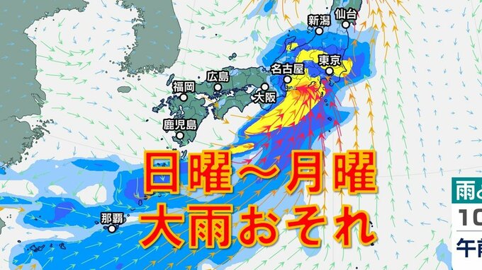 関東、近畿、東海など大雨おそれ　9日～10日にかけ西から雨広がる　雨シミュレーション9日（日）～10日（月）　|　鹿児島のニュース｜MBC NEWS｜南日本放送