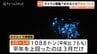 富山湾のホタルイカ…予測に反し平年の76%に減少　マイワシの記録的豊漁が定置網に影響か　富山県水産研究所　|　富山のニュース｜天気・防災｜チューリップテレビ