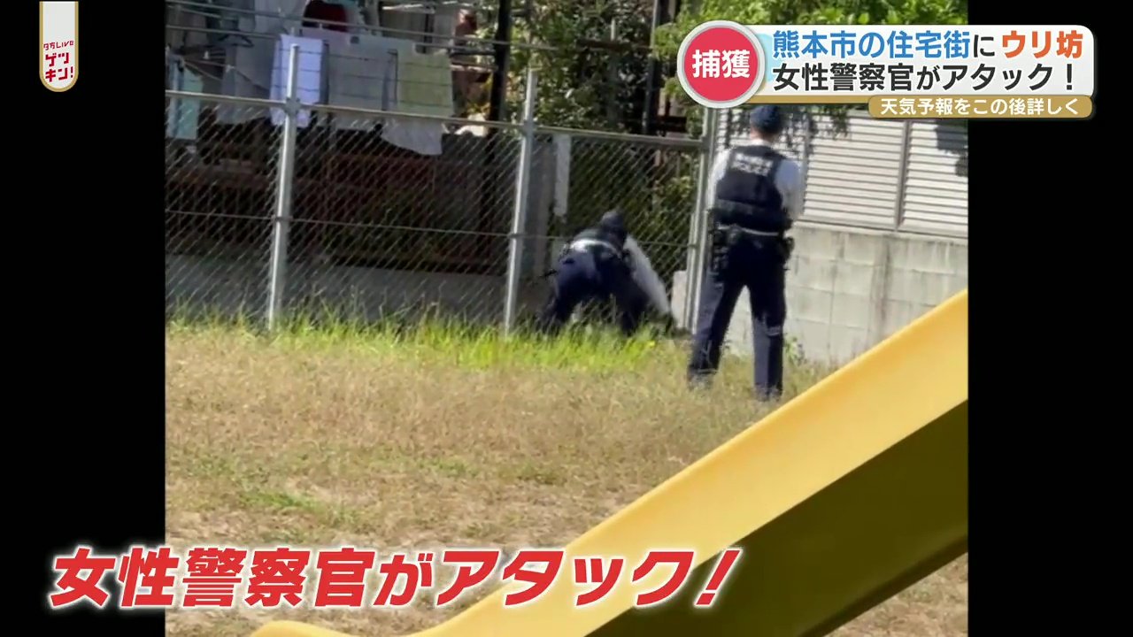住宅街にウリ坊 女性警察官が子どものイノシシと格闘 結果は 熊本のニュース Rkk熊本放送