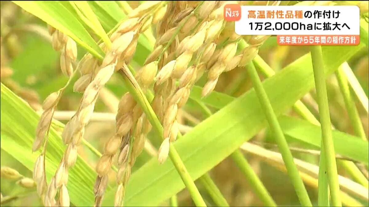 5年間の稲作方針決まる 地球温暖化に対応「高温耐性品種」を1万2000ha