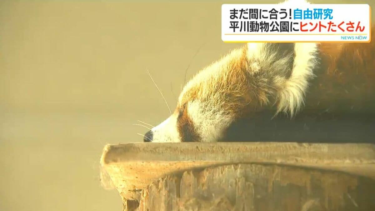 自由研究まだ間に合う…専門家に聞く　平川動物公園で探すテーマのヒント