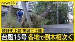 “逆走台風”15号 茨城県に初上陸 各地で倒木相次ぐ お盆期間中の空の便にも影響【news23】|TBS NEWS DIG