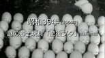 .謎の郷土玩具「肥後ブタ」【昭和39年・1964年】～RKKニュースミュージアム～ 熊本|TBS NEWS DIG